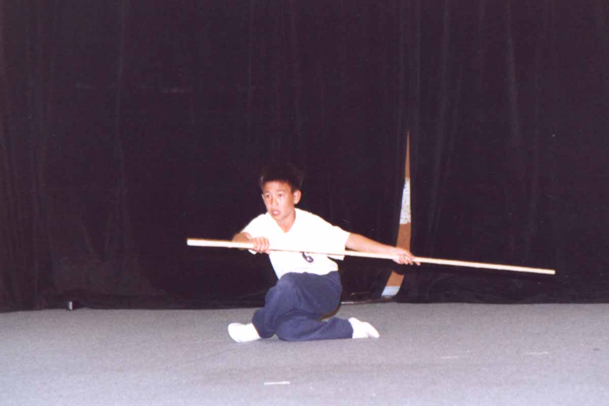 2000SP-kungfu2.jpg - 41309 Bytes